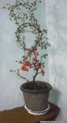 张勇油画花卉《花—海棠》欣赏